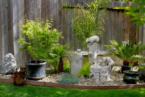 The view from our back yard